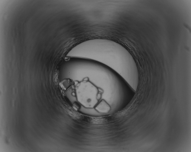 X0000097640336200802290828
