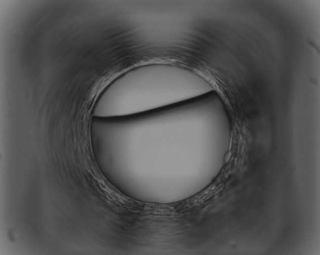 X0000097640337200802290828
