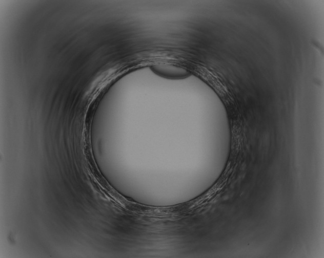 X0000097640338200802290828
