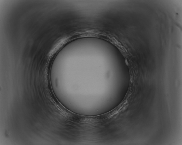X0000097640341200802290828