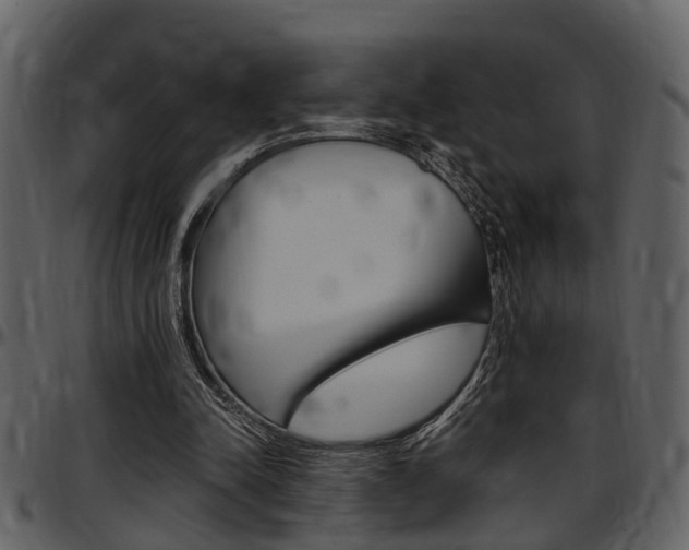 X0000097640342200802290828