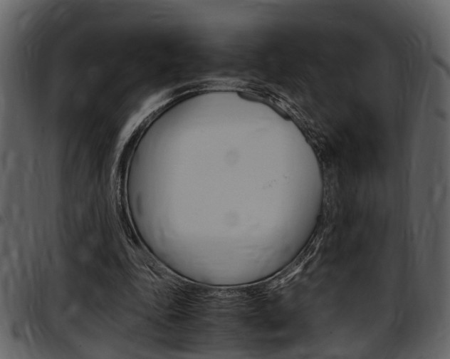 X0000097640343200802290828