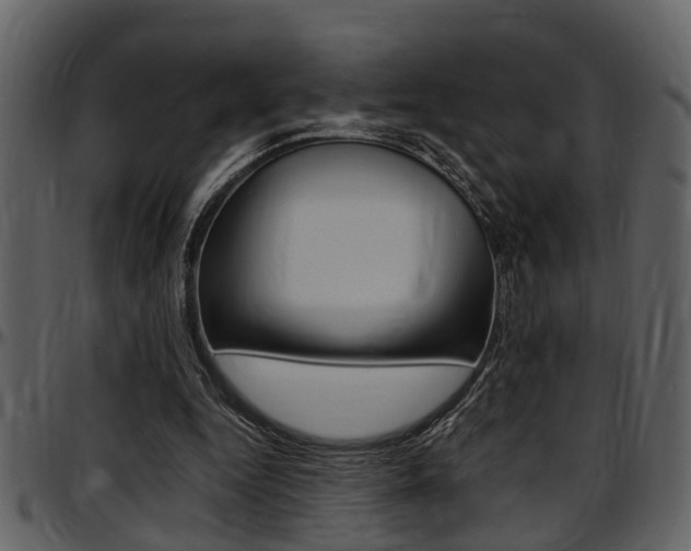 X0000097640344200802290828
