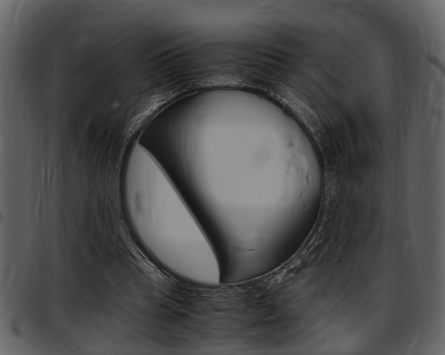 X0000097640345200802290828
