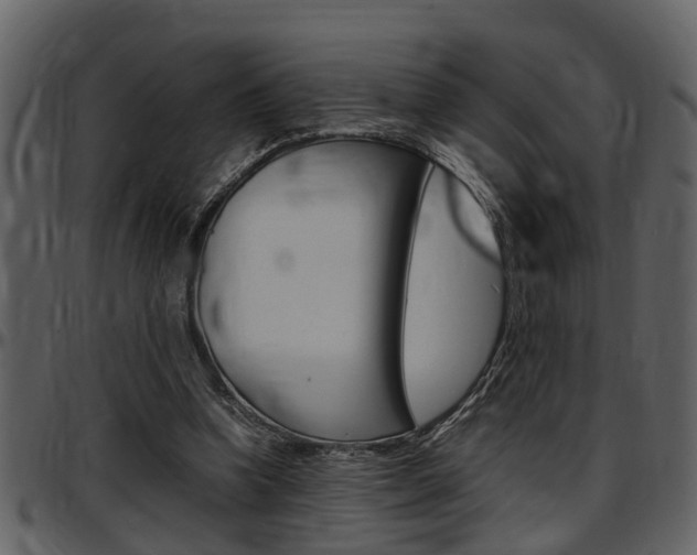 X0000097640346200802290828