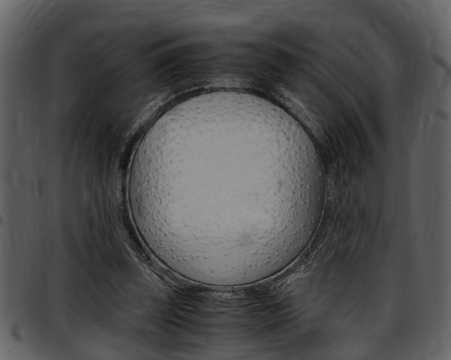 X0000097640347200802290828