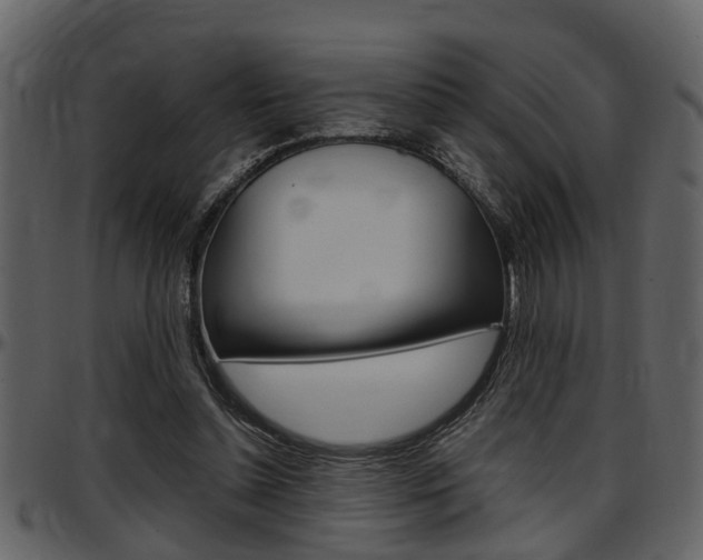 X0000097640348200802290828