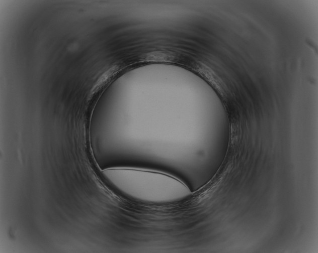 X0000097640349200802290828