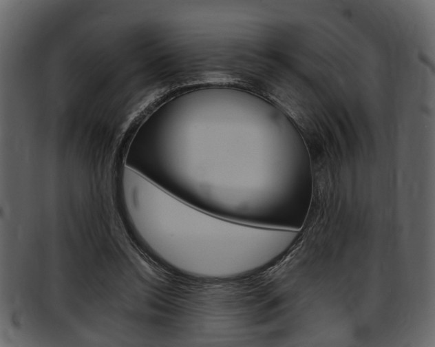 X0000097640350200802290828