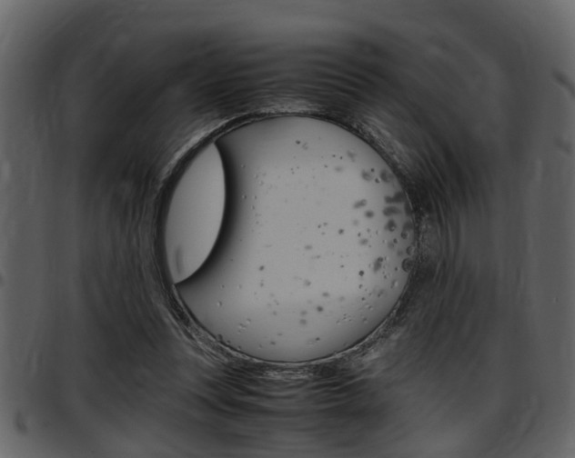 X0000097640351200802290828