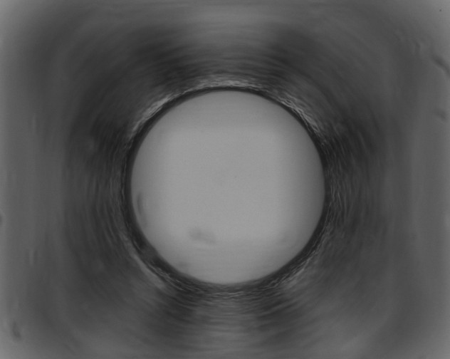 X0000097640352200802290828