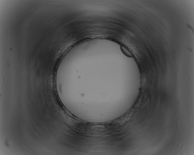 X0000097640353200802290828
