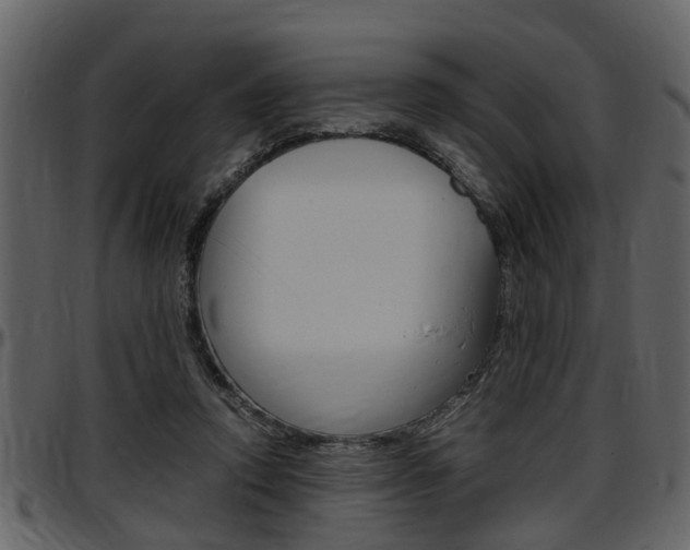 X0000097640354200802290828