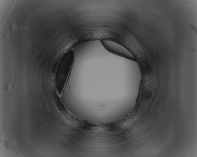 X0000097640356200802290828