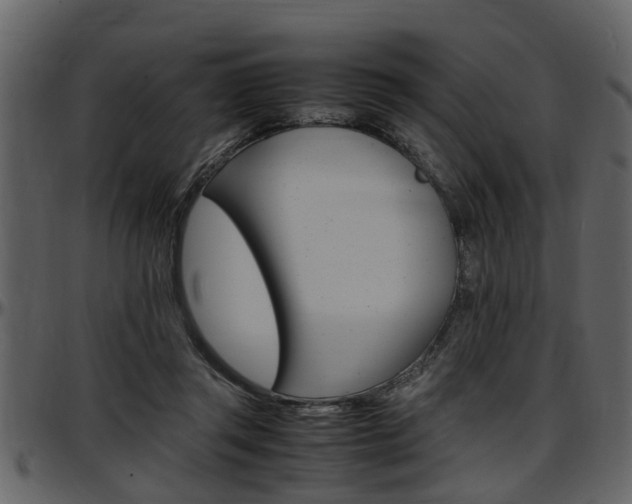 X0000097640357200802290828