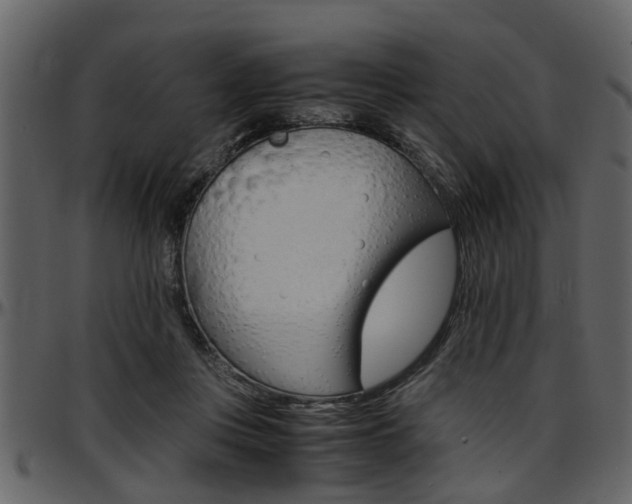 X0000097640359200802290828