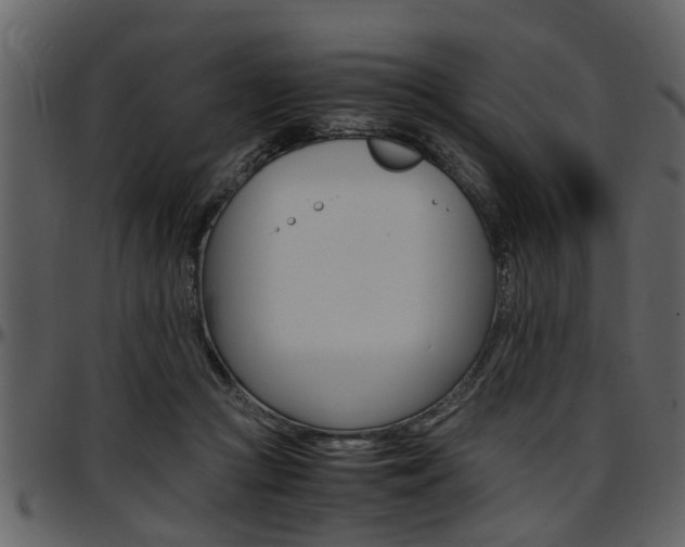 X0000097640361200802290828