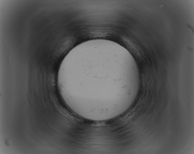 X0000097640362200802290828