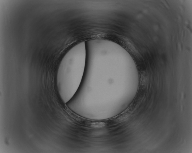 X0000097640363200802290828