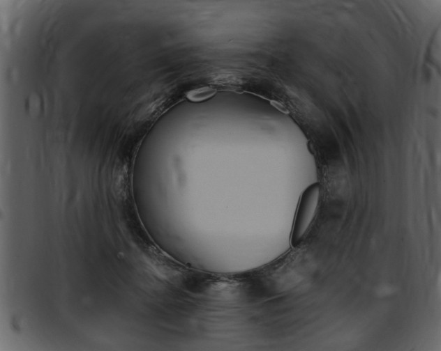 X0000097640364200802290828