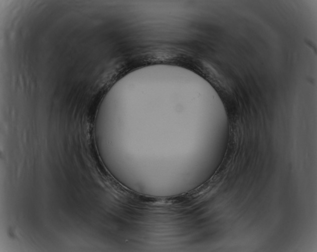 X0000097640366200802290828