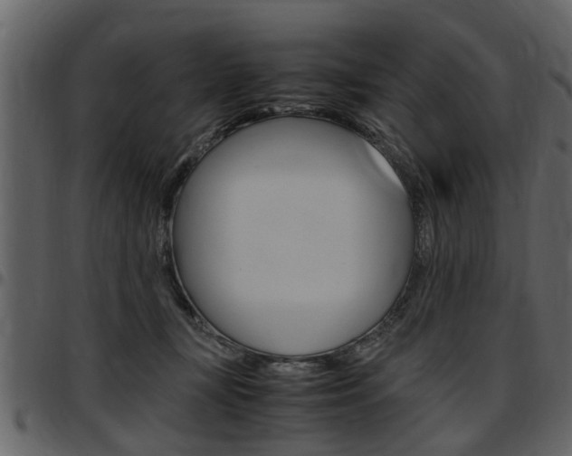 X0000097640367200802290828