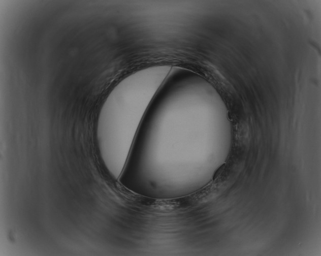 X0000097640368200802290828