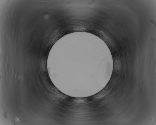 X0000097640370200802290828