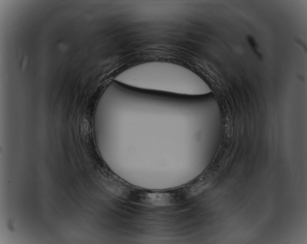 X0000097640371200802290828