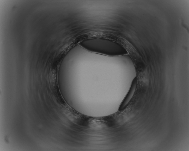 X0000097640372200802290828
