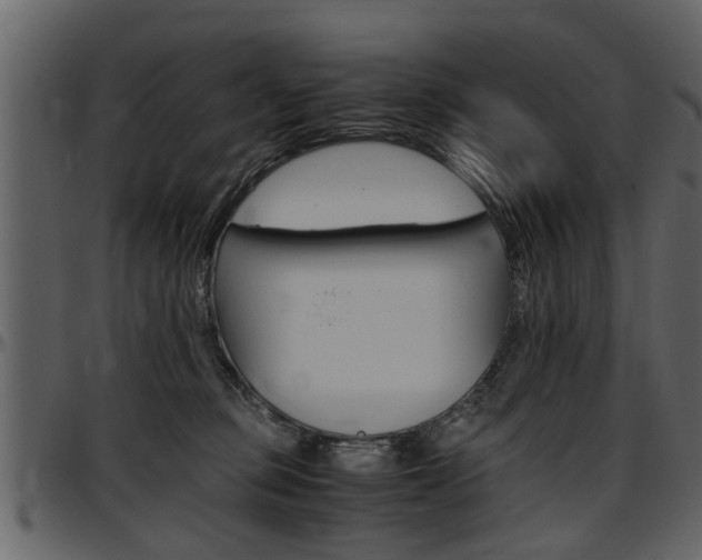 X0000097640373200802290828