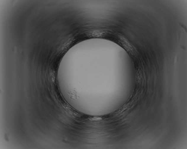 X0000097640374200802290828