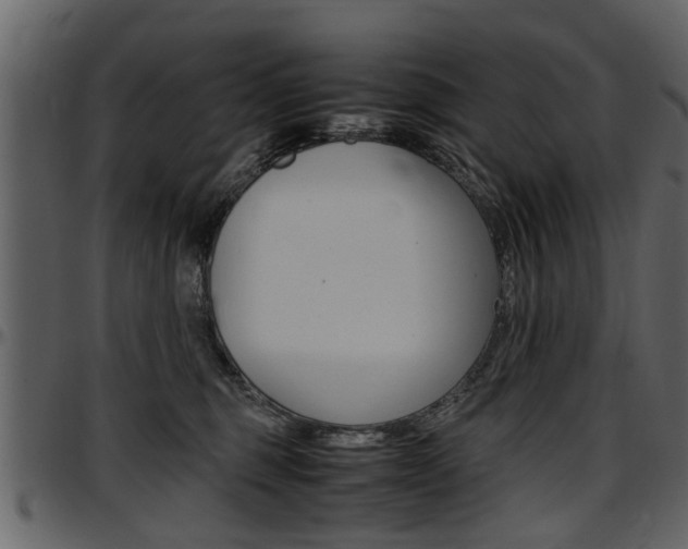 X0000097640375200802290828