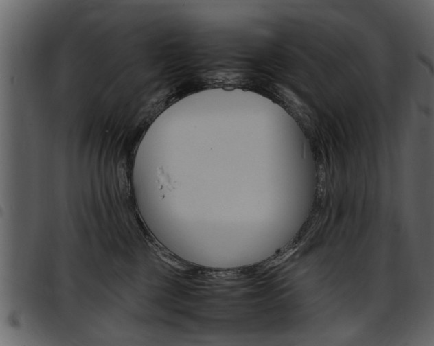 X0000097640377200802290828