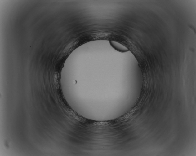 X0000097640378200802290828