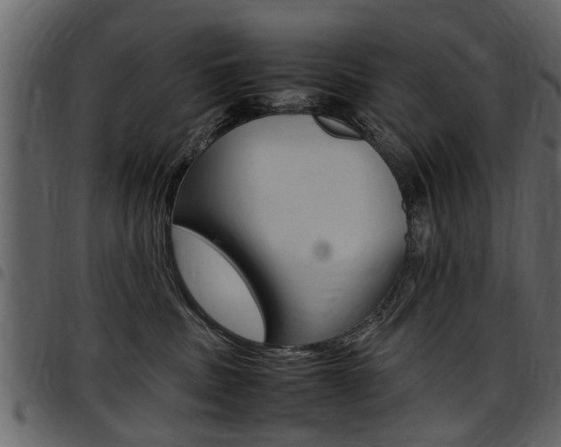 X0000097640379200802290828
