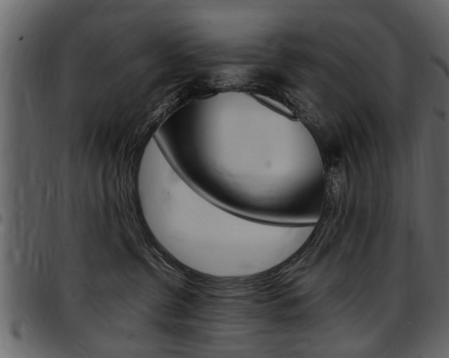 X0000097640380200802290828