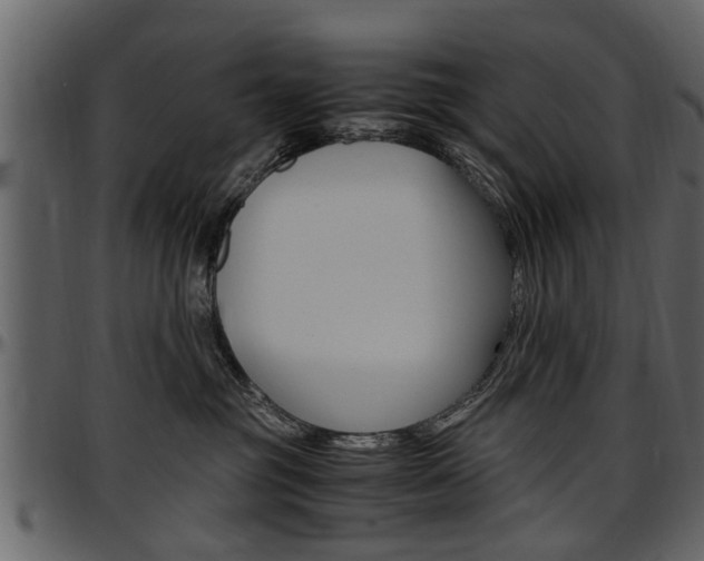 X0000097640381200802290828