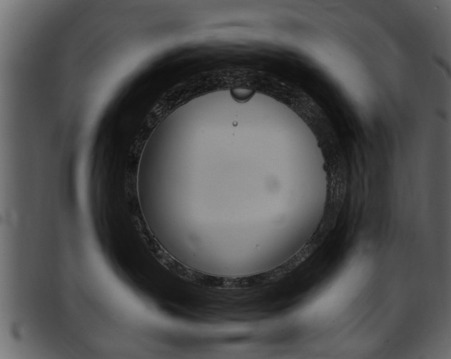 X0000097640383200802290828