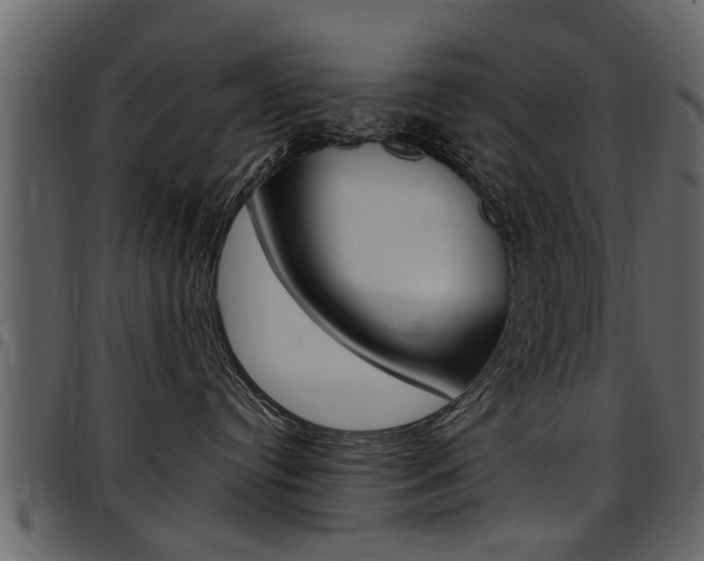 X0000097640384200802290828