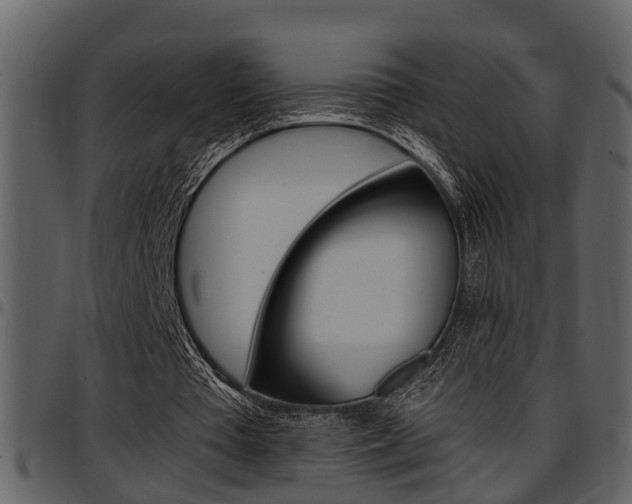 X0000097640385200802290828