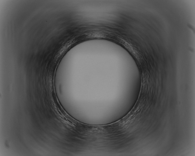 X0000097640386200802290828