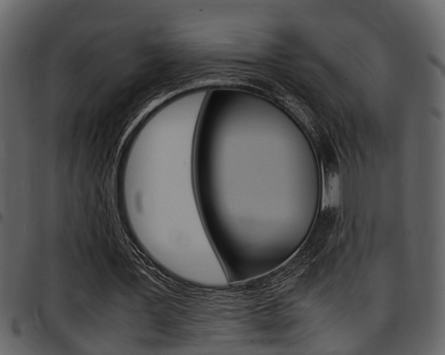 X0000097640387200802290828
