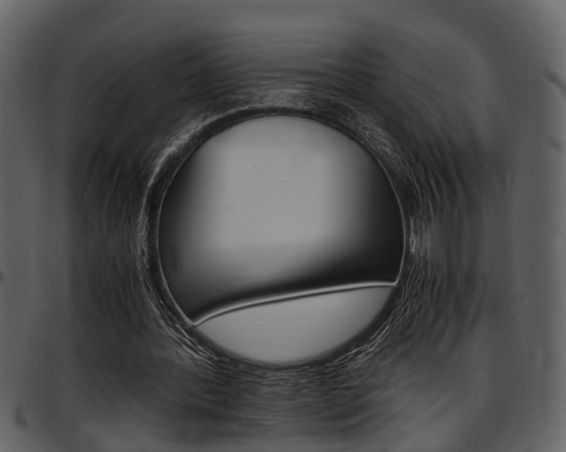 X0000097640388200802290828
