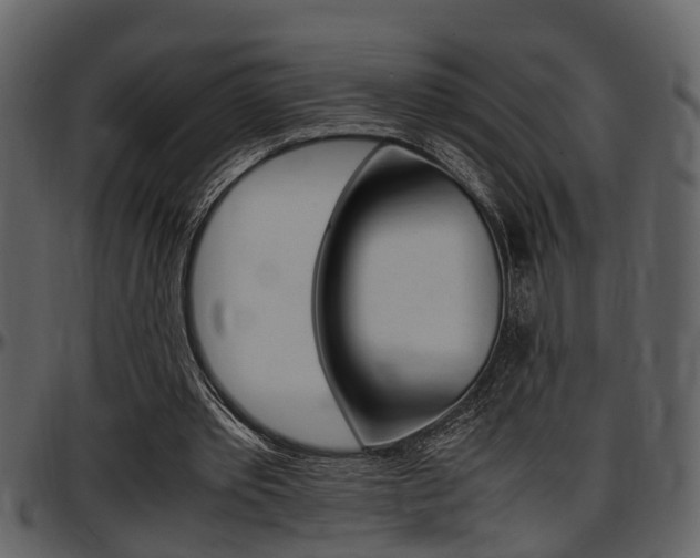 X0000097640389200802290827