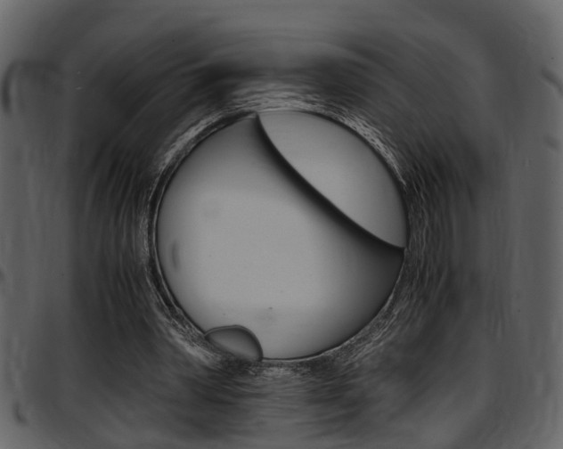 X0000097640390200802290827
