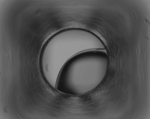 X0000097640391200802290827