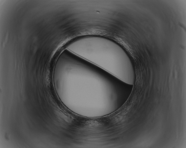 X0000097640392200802290827