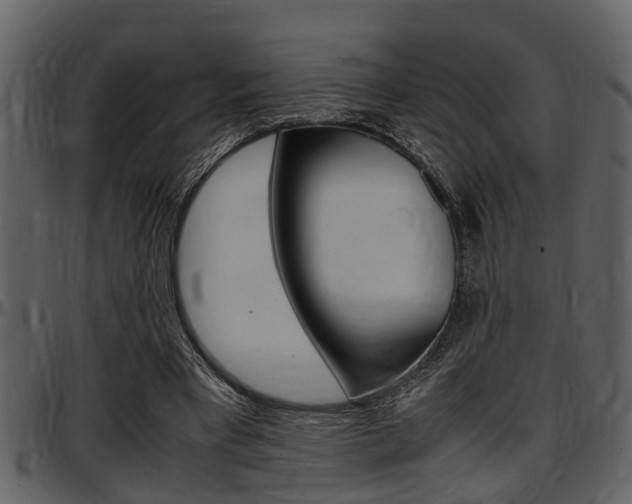 X0000097640393200802290827