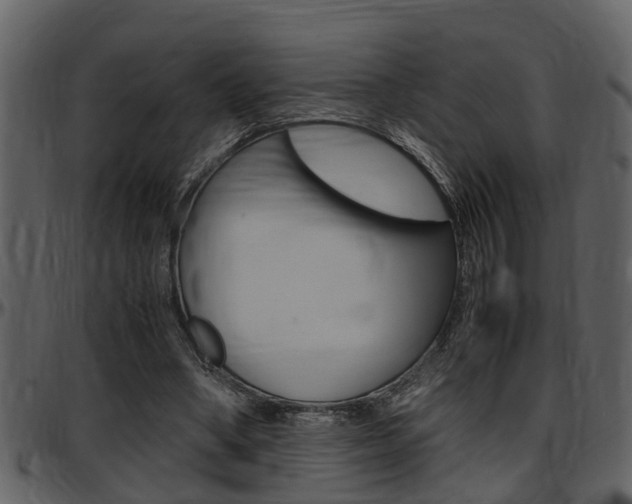 X0000097640394200802290827